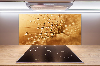 Pannello paraschizzi cucina con motivo a dente di leone