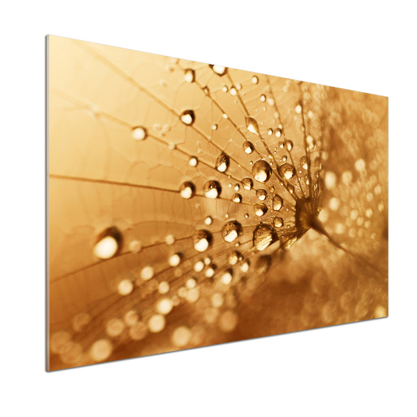 Pannello paraschizzi cucina con motivo a dente di leone