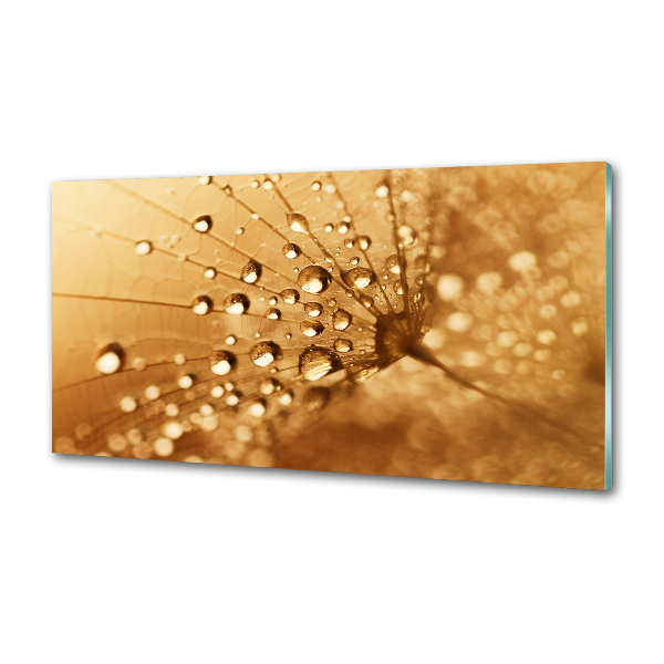 Pannello paraschizzi cucina con motivo a dente di leone