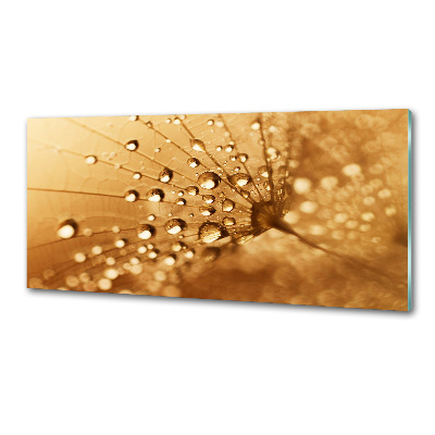 Pannello paraschizzi cucina con motivo a dente di leone