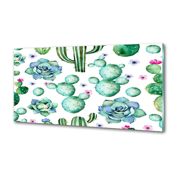 Pannello paraschizzi cucina con motivo cactus