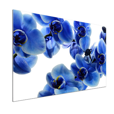 Pannello retrocucina con motivo orchidea blu