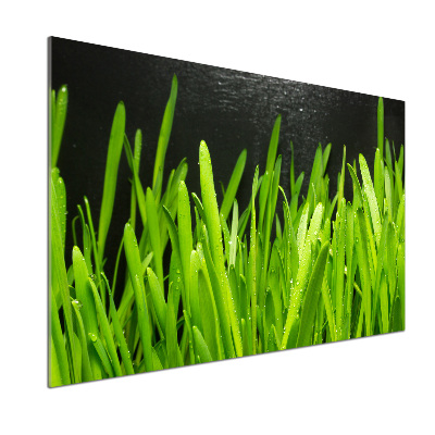 Pannello paraschizzi cucina con motivo a erba