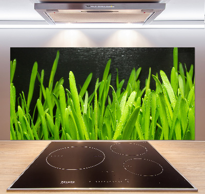 Pannello paraschizzi cucina con motivo a erba