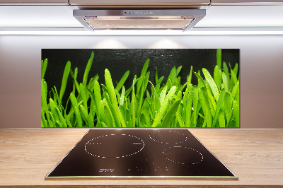 Pannello paraschizzi cucina con motivo a erba