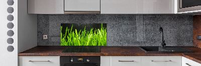 Pannello paraschizzi cucina con motivo a erba