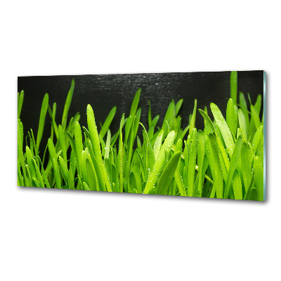 Pannello paraschizzi cucina con motivo a erba