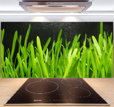 Pannello paraschizzi cucina con motivo a erba