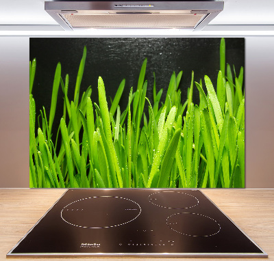 Pannello paraschizzi cucina con motivo a erba