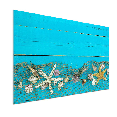 Pannello paraschizzi cucina con motivo di stelle marine e conchiglie