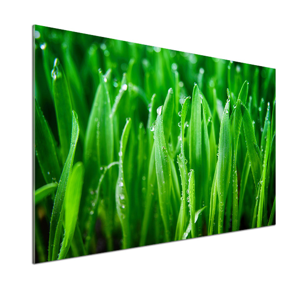 Pannello retrocucina con motivo a erba