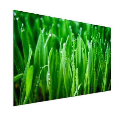 Pannello retrocucina con motivo a erba