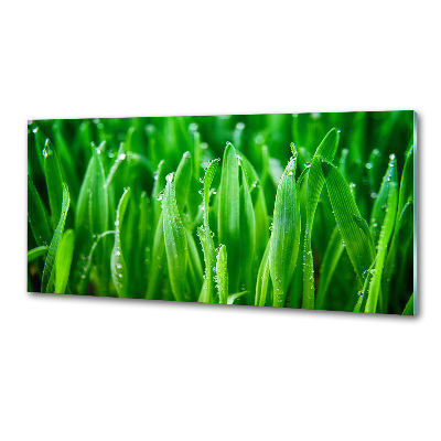 Pannello retrocucina con motivo a erba