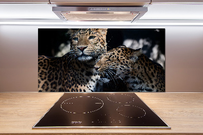 Pannello retrocucina con decorazione Due leopardi