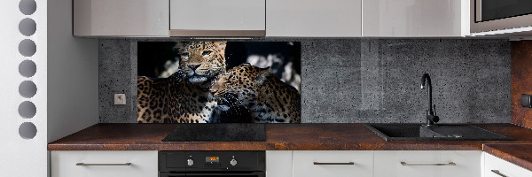 Pannello retrocucina con decorazione Due leopardi