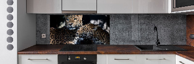 Pannello retrocucina con decorazione Due leopardi