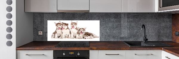 Pannello paraschizzi cucina con motivo di cuccioli di husky