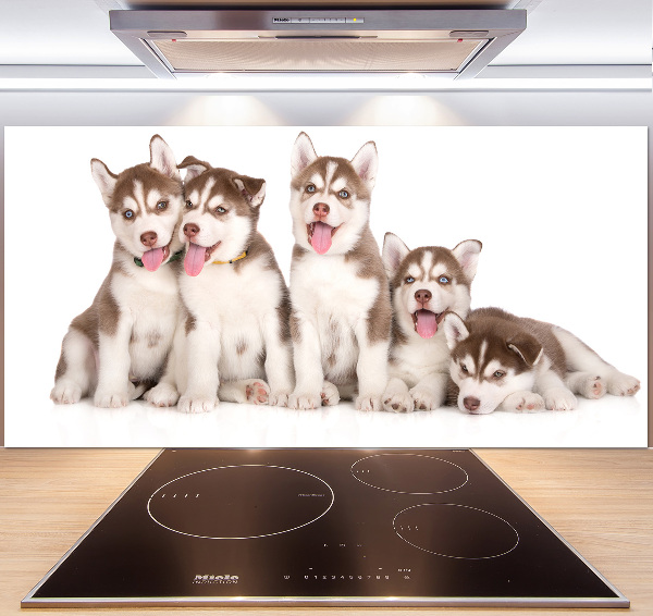 Pannello paraschizzi cucina con motivo di cuccioli di husky