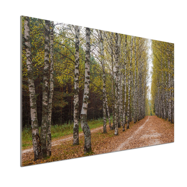 Pannello paraschizzi cucina con decorazione Viale delle betulle