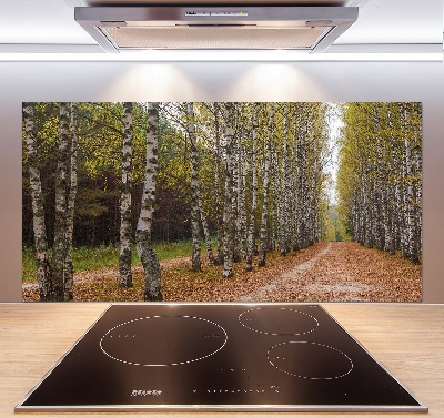 Pannello paraschizzi cucina con decorazione Viale delle betulle