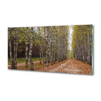 Pannello paraschizzi cucina con decorazione Viale delle betulle