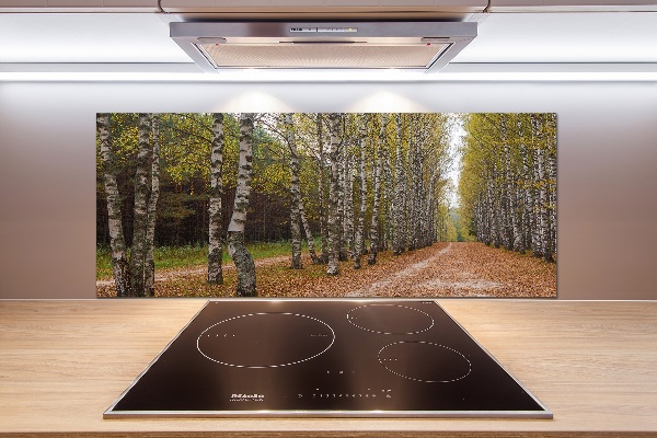 Pannello paraschizzi cucina con decorazione Viale delle betulle