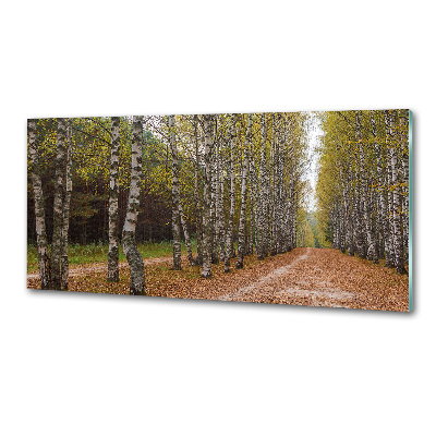 Pannello paraschizzi cucina con decorazione Viale delle betulle