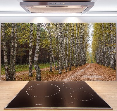 Pannello paraschizzi cucina con decorazione Viale delle betulle