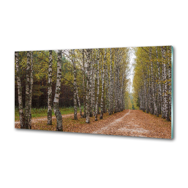 Pannello paraschizzi cucina con decorazione Viale delle betulle