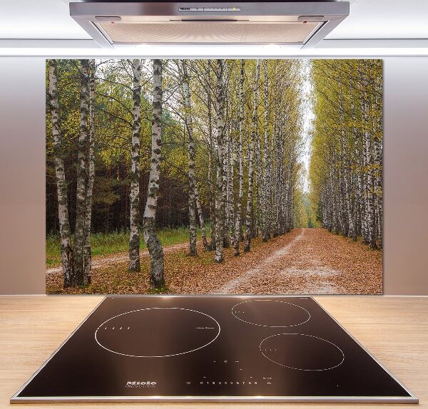 Pannello paraschizzi cucina con decorazione Viale delle betulle