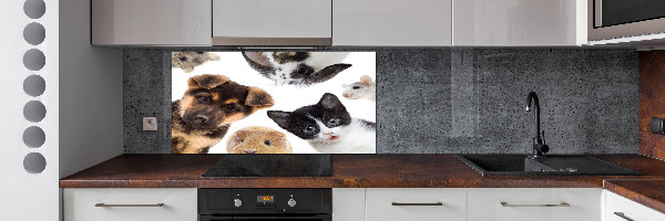 Rivestimento parete cucina con motivo a tema animali domestici
