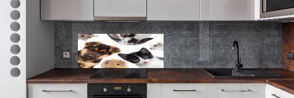 Rivestimento parete cucina con motivo a tema animali domestici