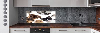 Rivestimento parete cucina con motivo a tema animali domestici