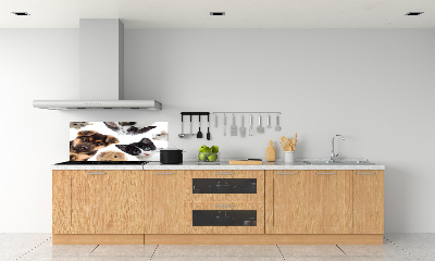 Rivestimento parete cucina con motivo a tema animali domestici