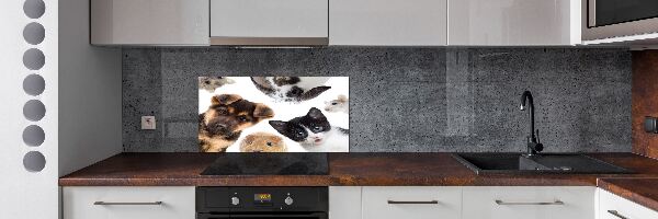 Rivestimento parete cucina con motivo a tema animali domestici