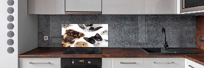 Rivestimento parete cucina con motivo a tema animali domestici