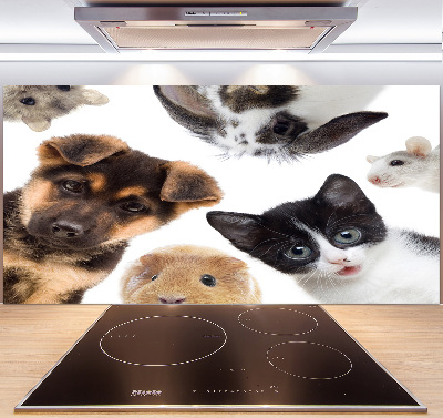 Rivestimento parete cucina con motivo a tema animali domestici