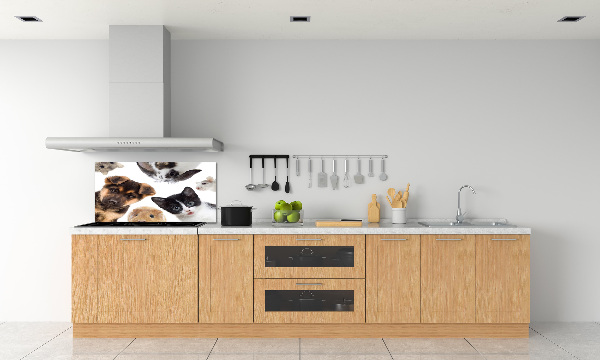 Rivestimento parete cucina con motivo a tema animali domestici