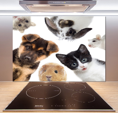 Rivestimento parete cucina con motivo a tema animali domestici