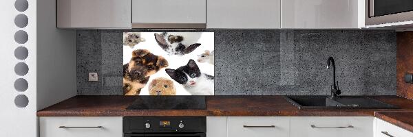 Rivestimento parete cucina con motivo a tema animali domestici