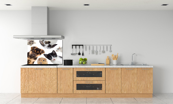 Rivestimento parete cucina con motivo a tema animali domestici