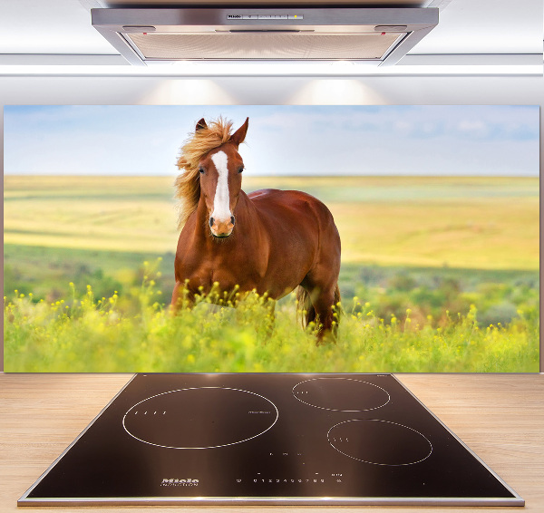 Pannello paraschizzi cucina con stampa di un cavallo bruno