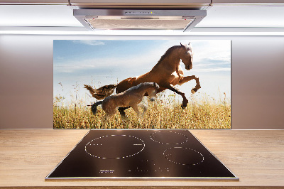 Rivestimento parete cucina con stampa raffigurante una giumenta con il suo puledro