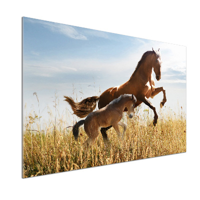 Rivestimento parete cucina con stampa raffigurante una giumenta con il suo puledro