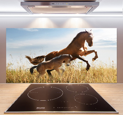 Rivestimento parete cucina con stampa raffigurante una giumenta con il suo puledro