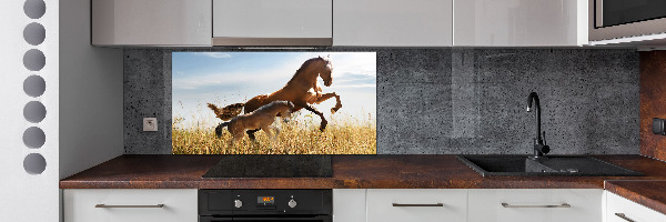 Rivestimento parete cucina con stampa raffigurante una giumenta con il suo puledro