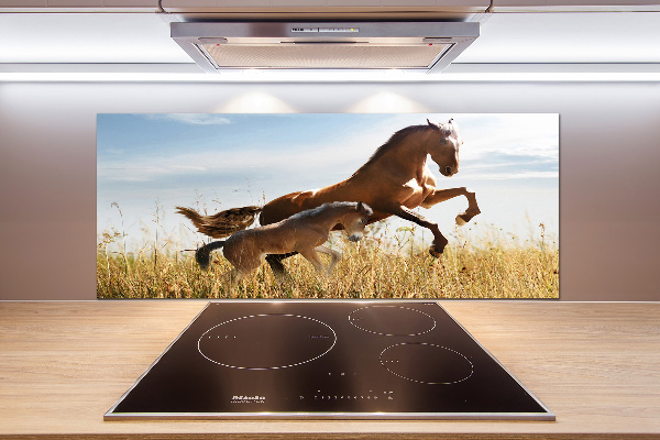 Rivestimento parete cucina con stampa raffigurante una giumenta con il suo puledro