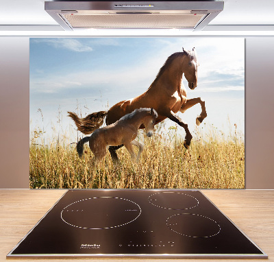 Rivestimento parete cucina con stampa raffigurante una giumenta con il suo puledro