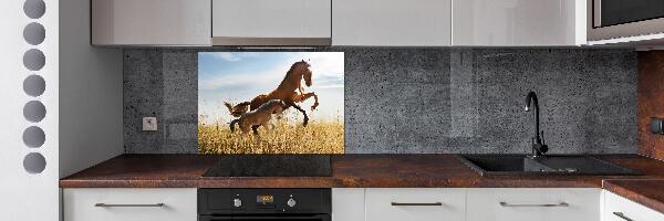 Rivestimento parete cucina con stampa raffigurante una giumenta con il suo puledro