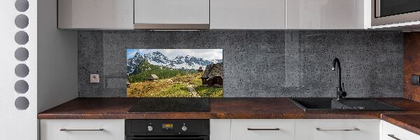 Rivestimento parete cucina con motivo Pascoli dei Monti Tatra